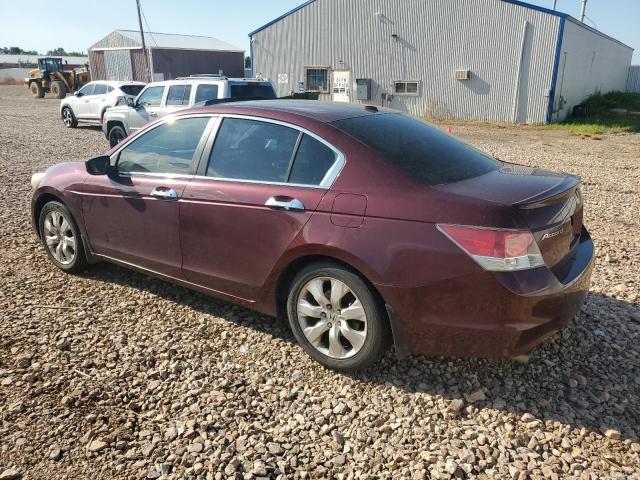 1HGCP36869A013187 - 2009 HONDA ACCORD EXL მუქწითელი ფოტო 2