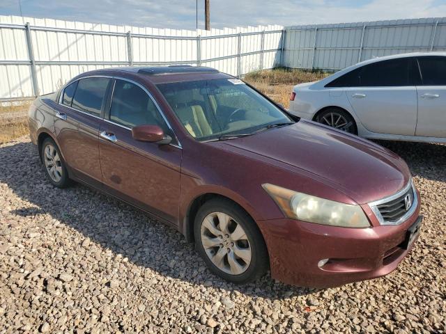 1HGCP36869A013187 - 2009 HONDA ACCORD EXL მუქწითელი ფოტო 4