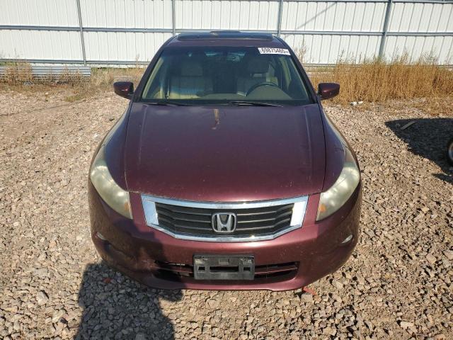 1HGCP36869A013187 - 2009 HONDA ACCORD EXL მუქწითელი ფოტო 5