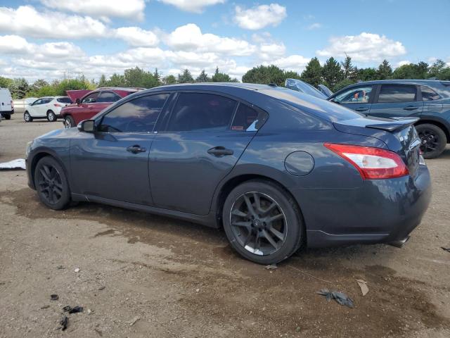 1N4AA5AP2AC844220 - 2010 NISSAN MAXIMA S GRAY photo 2