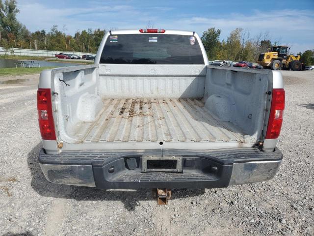 1GCSKREA2AZ199266 - 2010 CHEVROLET SILVERADO K1500 LS SILVER photo 6