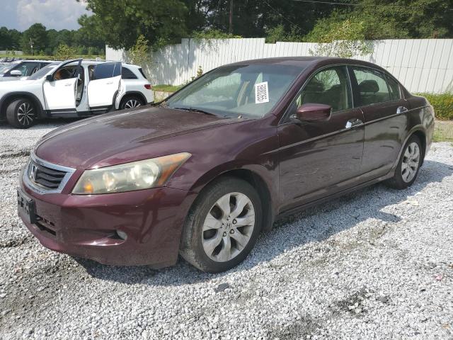 2009 HONDA ACCORD EXL, 