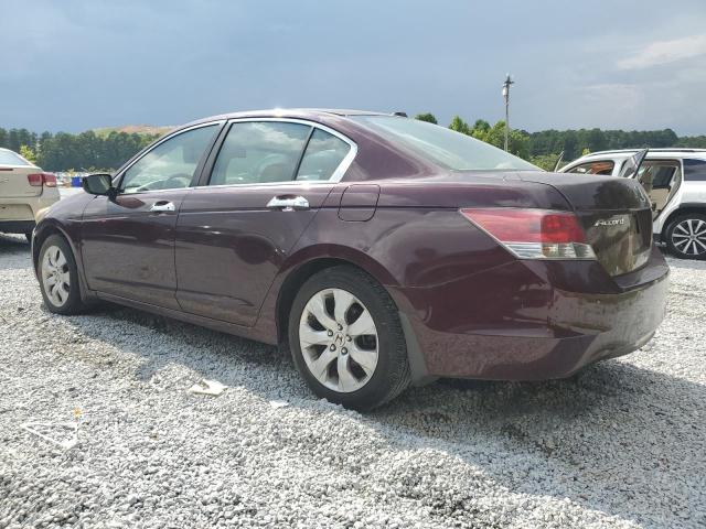 1HGCP36849A002124 - 2009 HONDA ACCORD EXL BURGUNDY photo 2