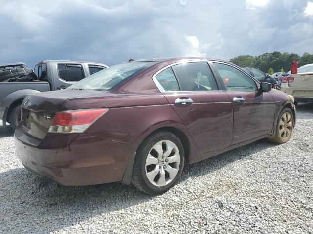 1HGCP36849A002124 - 2009 HONDA ACCORD EXL BURGUNDY photo 3