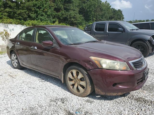 1HGCP36849A002124 - 2009 HONDA ACCORD EXL BURGUNDY photo 4