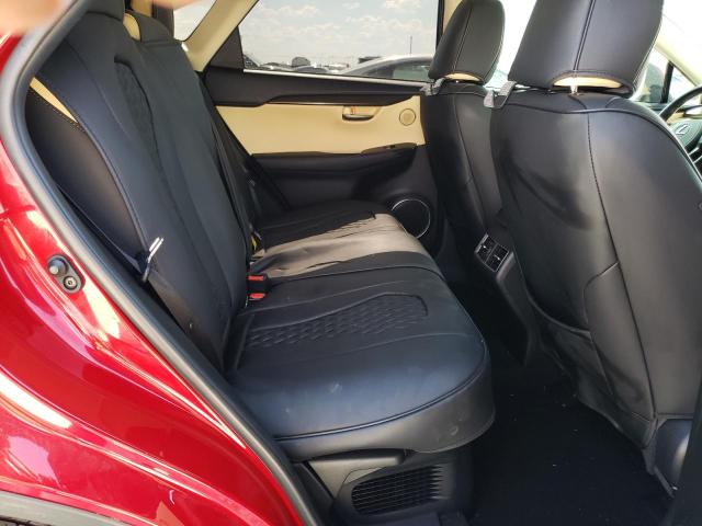 JTJDARBZ9M5028528 - 2021 LEXUS NX 300 BASE 红色 照片 11