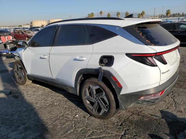 KM8JFCA1XNU072881 - 2022 HYUNDAI TUCSON SEL CONVENIENCE თეთრი ფოტო 2