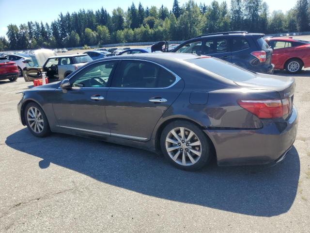 JTHCL5EF9A5007420 - 2010 LEXUS LS 460 灰色 照片 2
