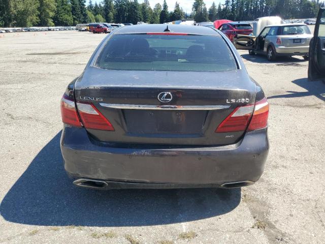 JTHCL5EF9A5007420 - 2010 LEXUS LS 460 灰色 照片 6
