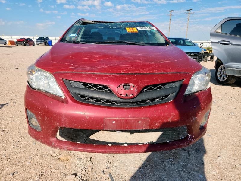 5YFBU4EE8DP203657 - 2013 TOYOTA COROLLA BASE أحمر صورة 5