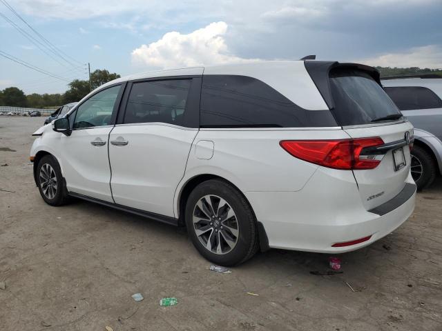 5FNRL6H62RB015480 - 2024 HONDA ODYSSEY EXL WHITE photo 2