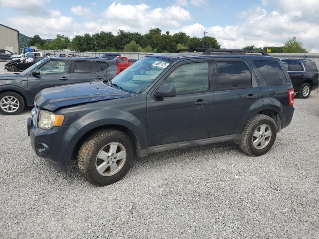 2009 FORD ESCAPE XLT, 