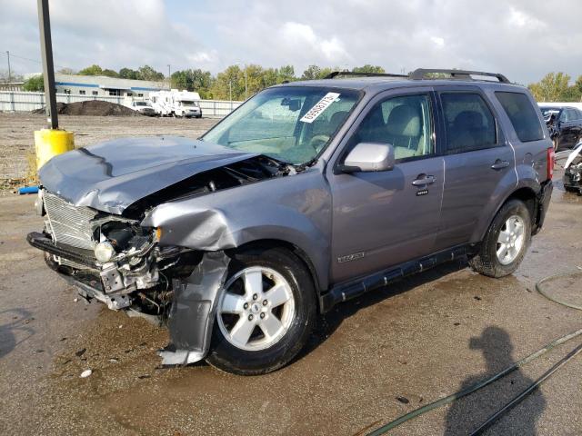 2008 FORD ESCAPE XLT, 