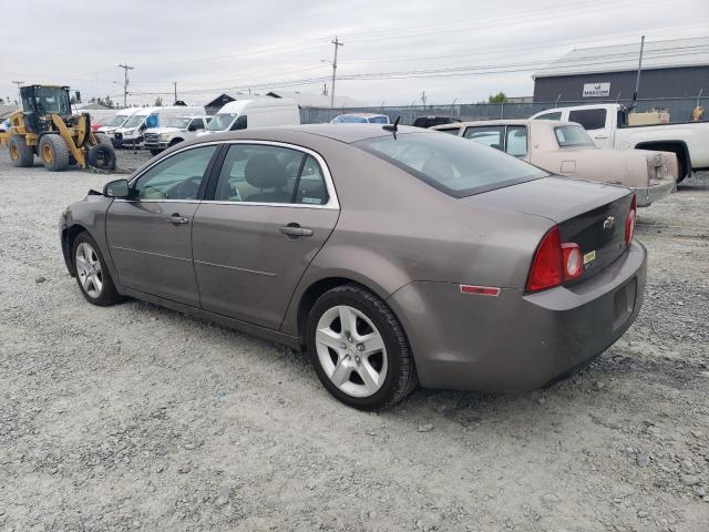 1G1ZB5EU8BF370860 - 2011 CHEVROLET MALIBU LS 棕色 照片 2