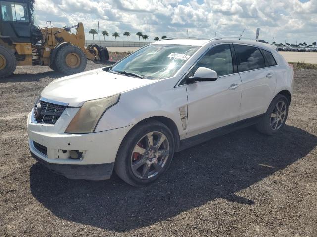 3GYFNBEY1BS529274 - 2011 CADILLAC SRX PERFORMANCE COLLECTION Blanc photo 1