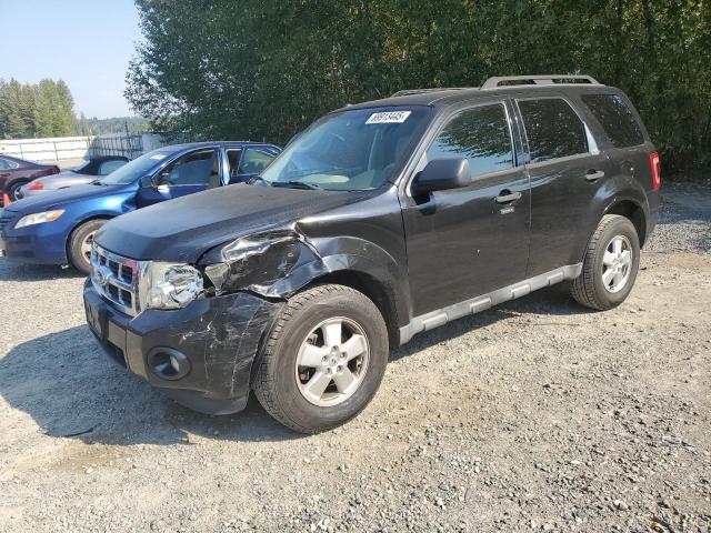 2011 FORD ESCAPE XLT, 