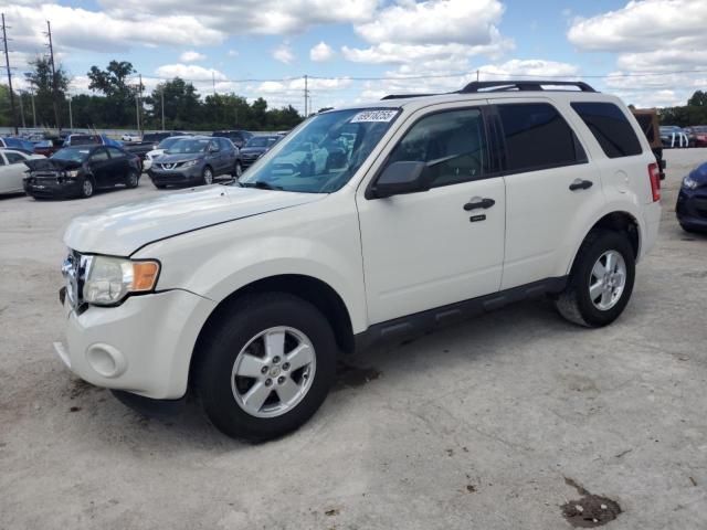 2011 FORD ESCAPE XLT, 