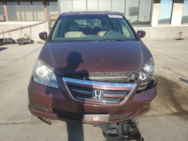 5FNRL38687B407827 - 2007 HONDA ODYSSEY EXL BURGUNDY photo 5