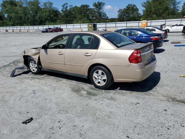 1G1ZT54815F168853 - 2005 CHEVROLET MALIBU LS GOLD photo 2