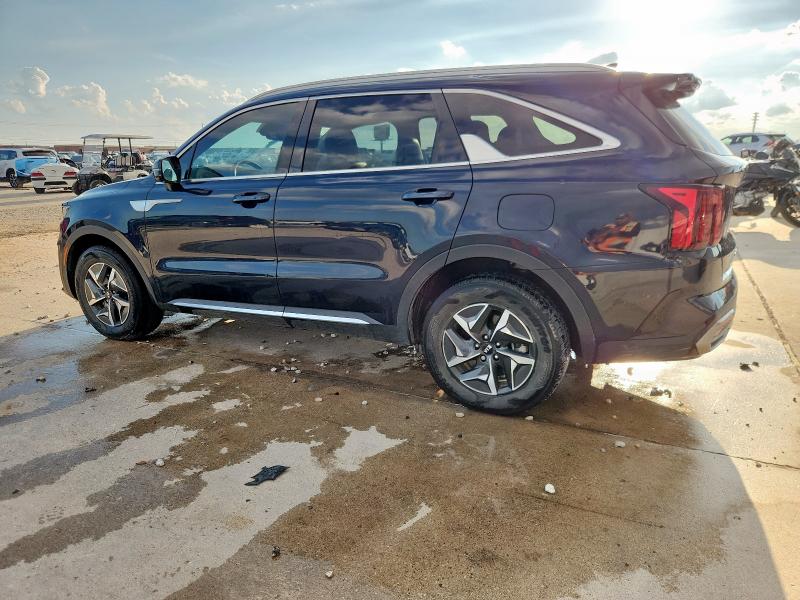 KNDRH4LG7M5019282 - 2021 KIA SORENTO EX BLACK photo 2