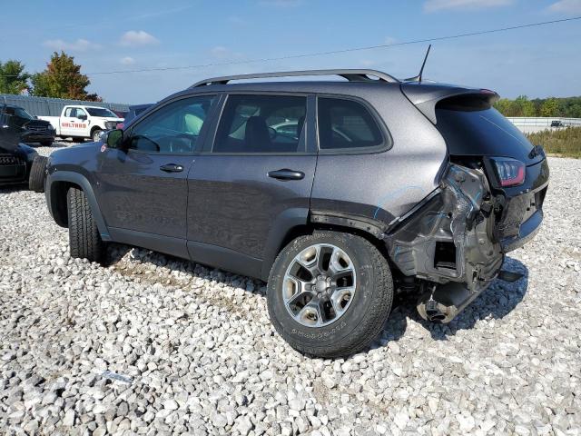 1C4PJMBN6KD182875 - 2019 JEEP CHEROKEE TRAILHAWK GRAY photo 2