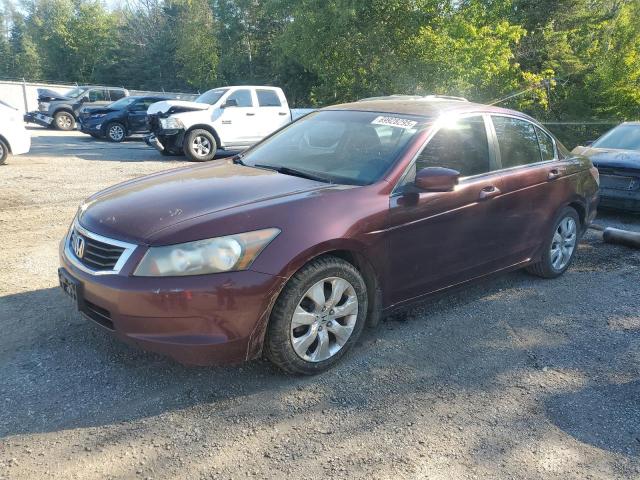 2009 HONDA ACCORD EXL, 