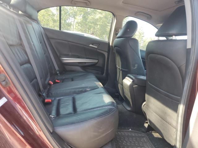 1HGCP268X9A809807 - 2009 HONDA ACCORD EXL 勃艮第红 照片 10