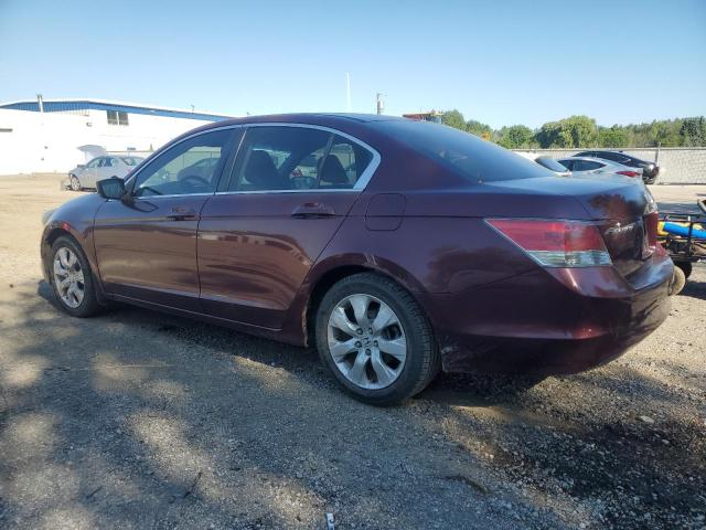 1HGCP268X9A809807 - 2009 HONDA ACCORD EXL 勃艮第红 照片 2