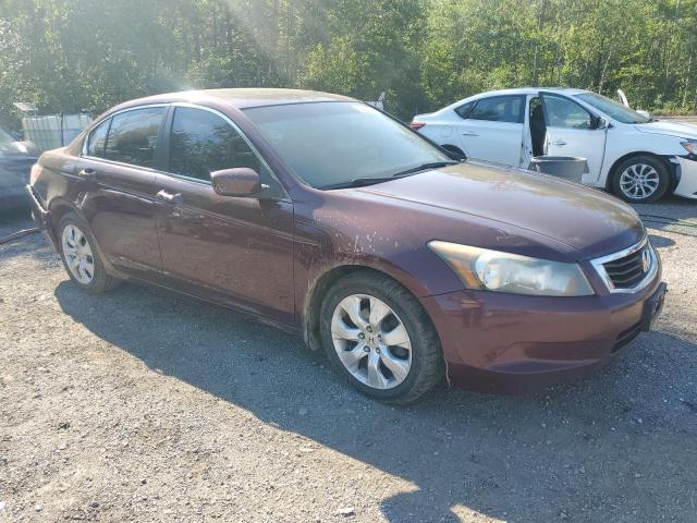 1HGCP268X9A809807 - 2009 HONDA ACCORD EXL 勃艮第红 照片 4