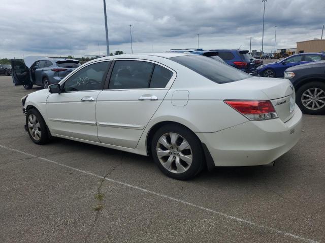 1HGCP36819A024503 - 2009 HONDA ACCORD EXL 白色 照片 2