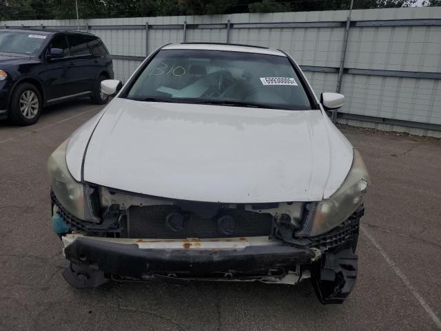 1HGCP36819A024503 - 2009 HONDA ACCORD EXL 白色 照片 5