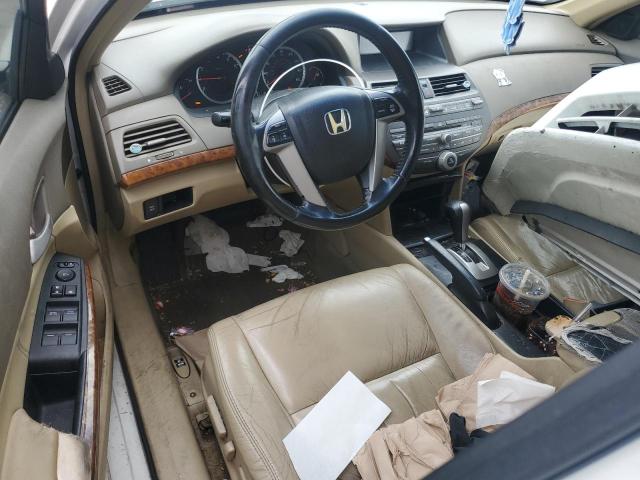 1HGCP36819A024503 - 2009 HONDA ACCORD EXL 白色 照片 8