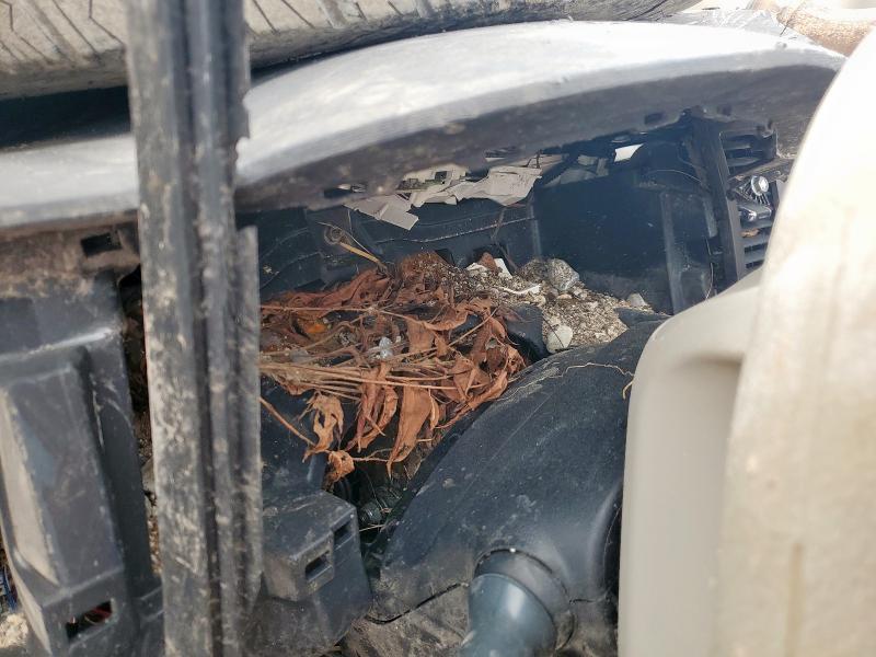 5TDKK3DC6BS150428 - 2011 TOYOTA SIENNA LE 棕色 照片 9