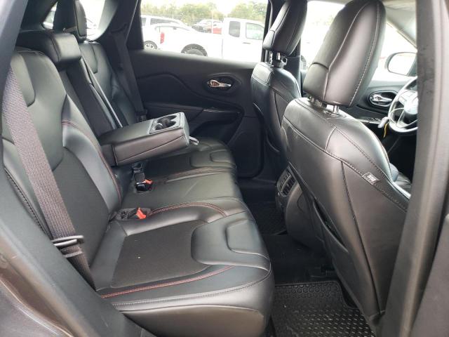 1C4PJMBX9LD562313 - 2020 JEEP CHEROKEE TRAILHAWK ნაცრისფერი ფოტო 10