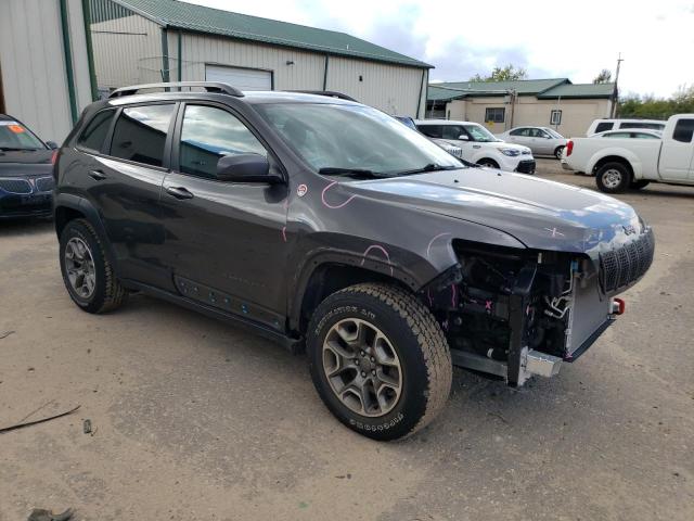 1C4PJMBX9LD562313 - 2020 JEEP CHEROKEE TRAILHAWK ნაცრისფერი ფოტო 4