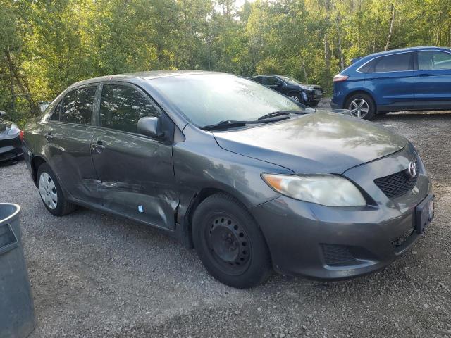 2T1BU4EE4AC325489 - 2010 TOYOTA COROLLA BASE Gris photo 4