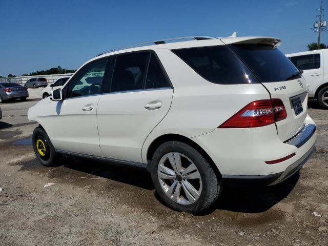 4JGDA5JB0DA176294 - 2013 MERCEDES-BENZ ML 350 黑色 照片 2