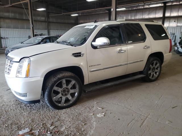 1GYS4CEF6BR126724 - 2011 CADILLAC ESCALADE PREMIUM WHITE photo 1