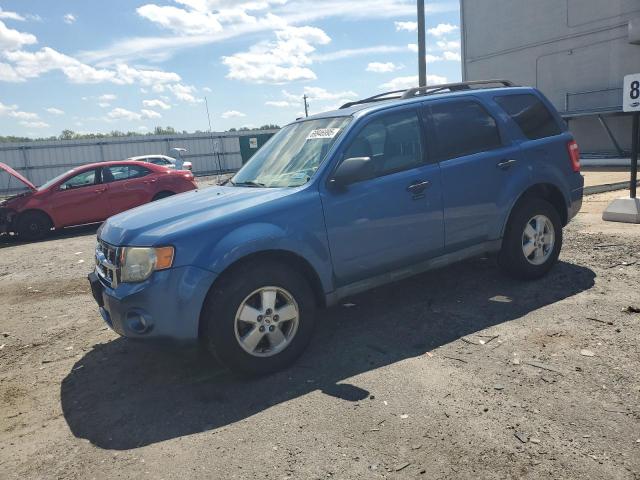 2010 FORD ESCAPE XLT, 