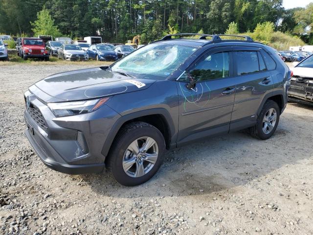 2024 TOYOTA RAV4 LE, 