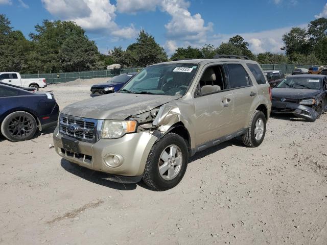 2010 FORD ESCAPE XLT, 