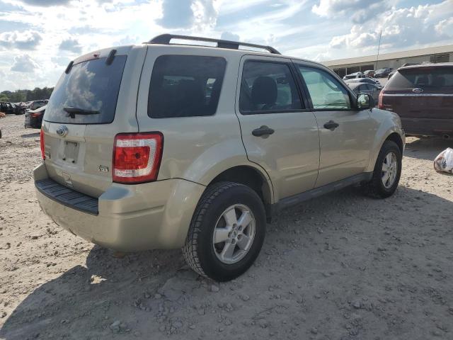 1FMCU9DG4AKD22168 - 2010 FORD ESCAPE XLT 金色 照片 3