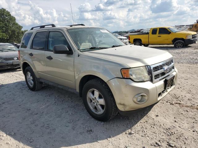 1FMCU9DG4AKD22168 - 2010 FORD ESCAPE XLT 金色 照片 4