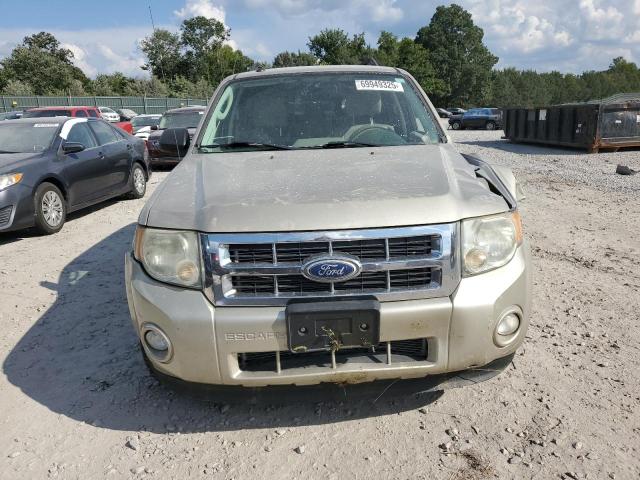 1FMCU9DG4AKD22168 - 2010 FORD ESCAPE XLT 金色 照片 5