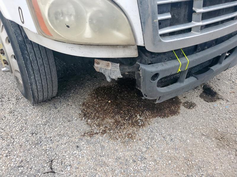 1FUJGLDR49LAC0815 - 2009 FREIGHTLINER CASCADIA 1 Ağ foto 9