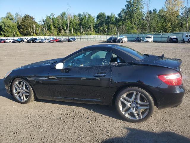WDDPK5HA2DF073902 - 2013 MERCEDES-BENZ SLK 350 BLACK photo 2