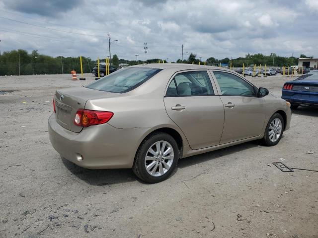 2T1BU4EE3AC395100 - 2010 TOYOTA COROLLA BASE BROWN photo 3