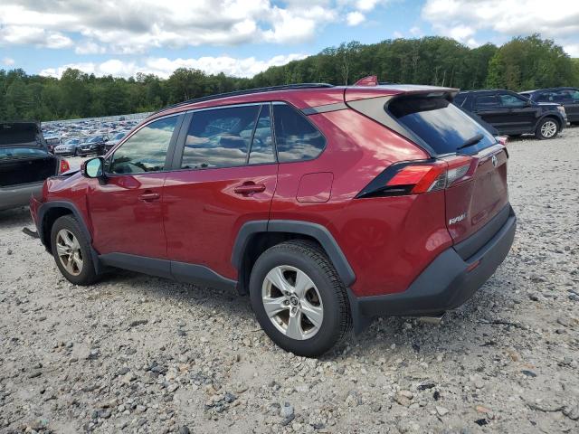 JTMP1RFV0KD502375 - 2019 TOYOTA RAV4 XLE Rouge photo 2