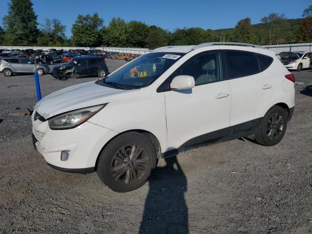 KM8JUCAG4FU105966 - 2015 HYUNDAI TUCSON LIMITED WHITE photo 1