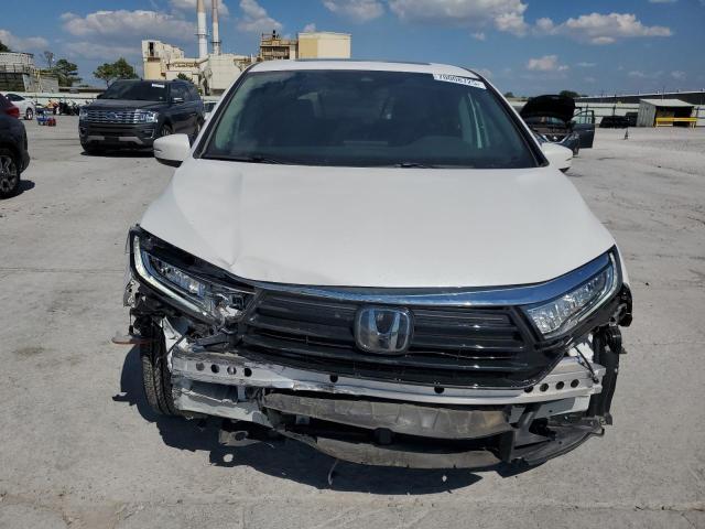 5FNRL6H66RB076007 - 2024 HONDA ODYSSEY EXL თეთრი ფოტო 5